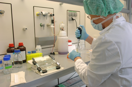 can't find the picture